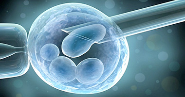 Размороженные эмбрионы